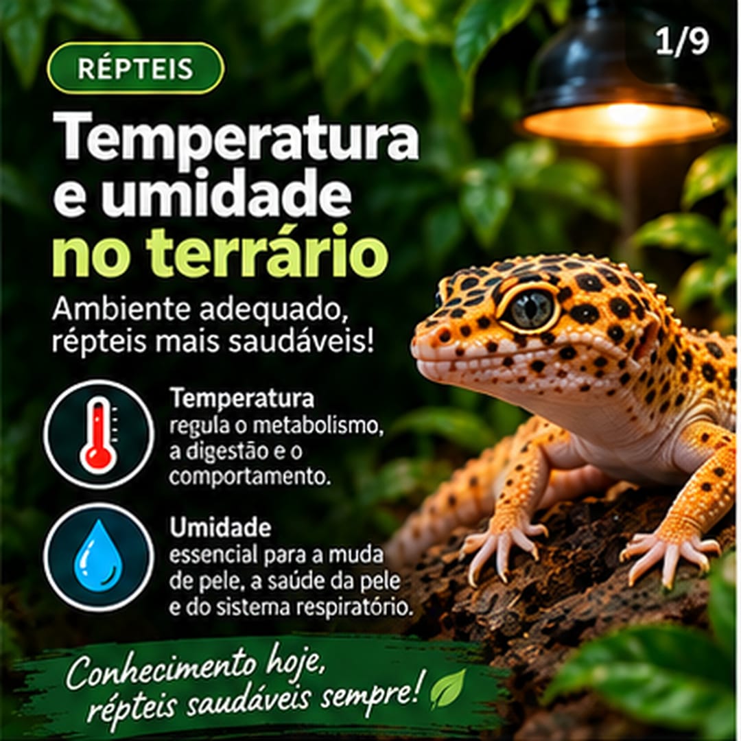 A importância do gradiente térmico